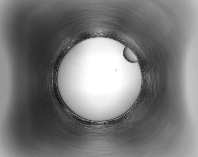 X0000098190694200804241051