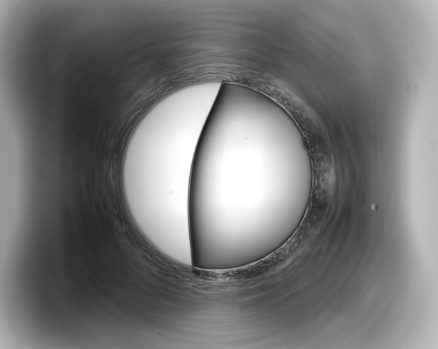 X0000098190696200804241051