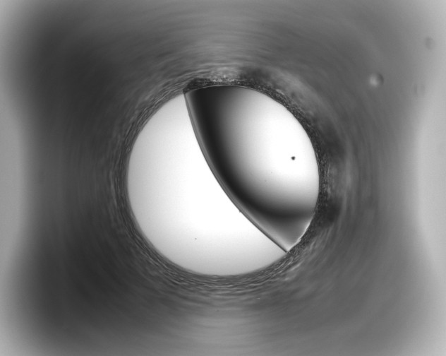 X0000098190697200804241051