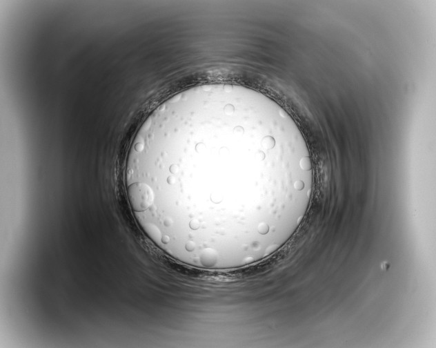 X0000098190698200804241051