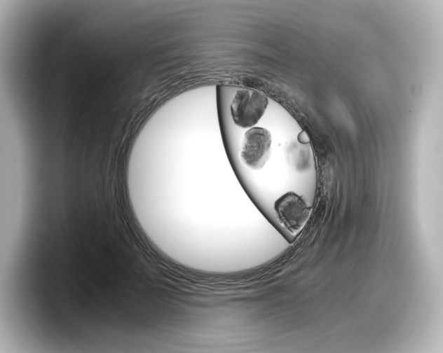 X0000098190699200804241051