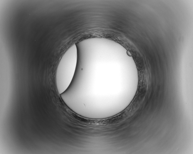 X0000098190702200804241051
