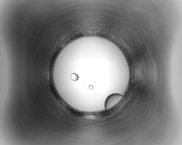 X0000098190706200804241051