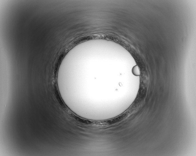 X0000098190707200804241051