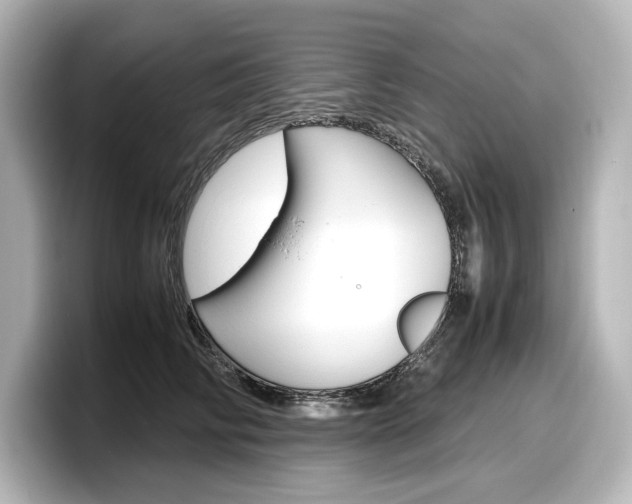 X0000098190710200804241051