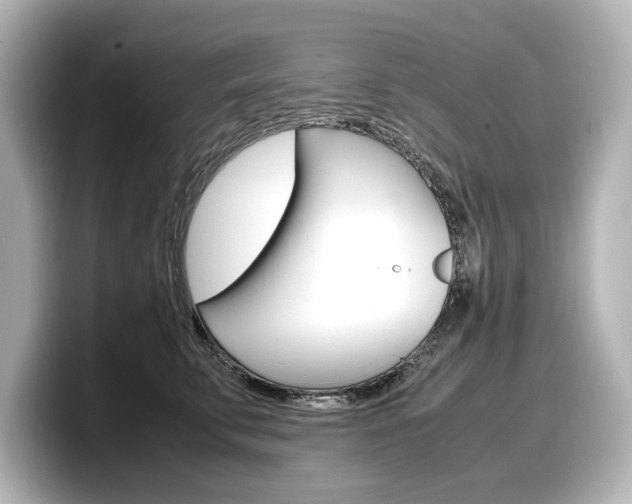 X0000098190711200804241051