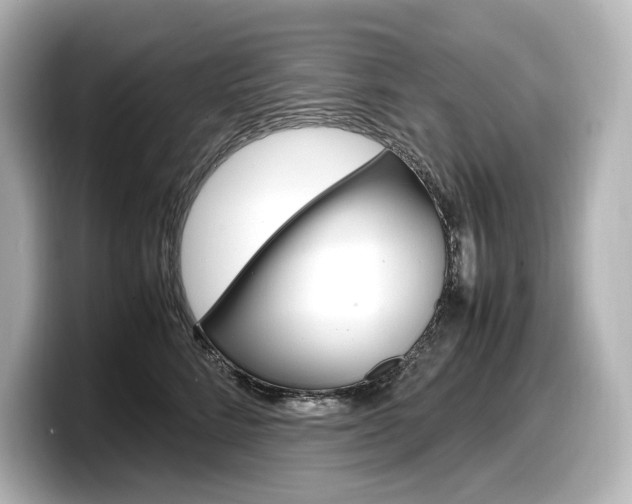 X0000098190712200804241051