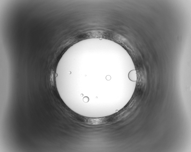 X0000098190717200804241051