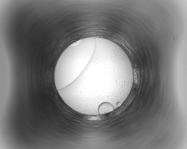 X0000098190718200804241051