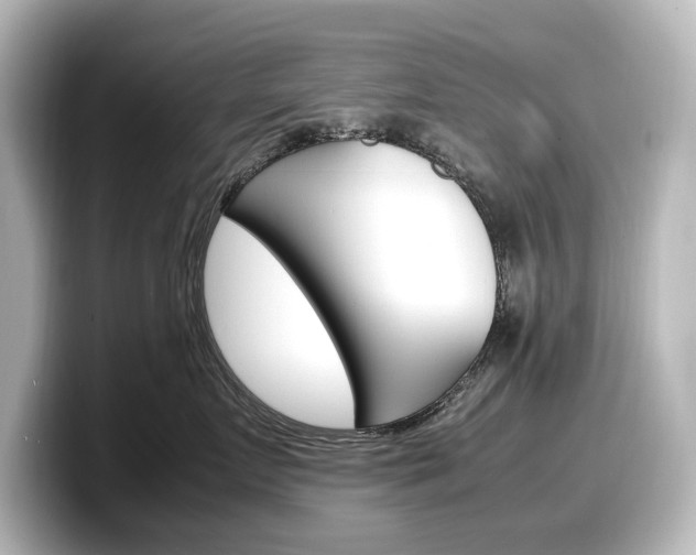 X0000098190719200804241051