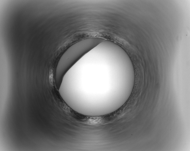 X0000098190720200804241051