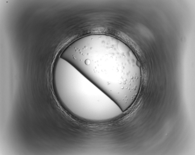 X0000098190721200804241050