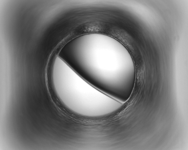 X0000098190722200804241050