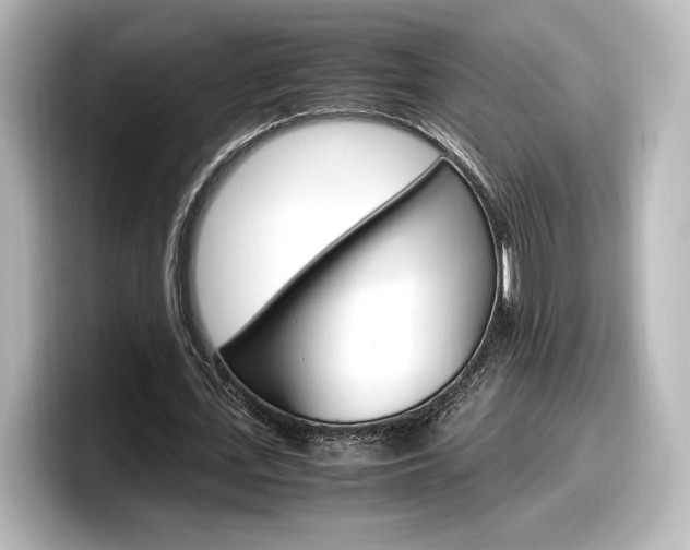 X0000098190723200804241050