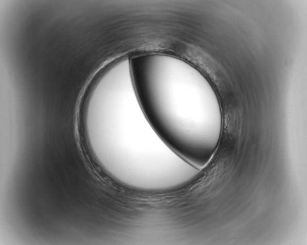 X0000098190724200804241050
