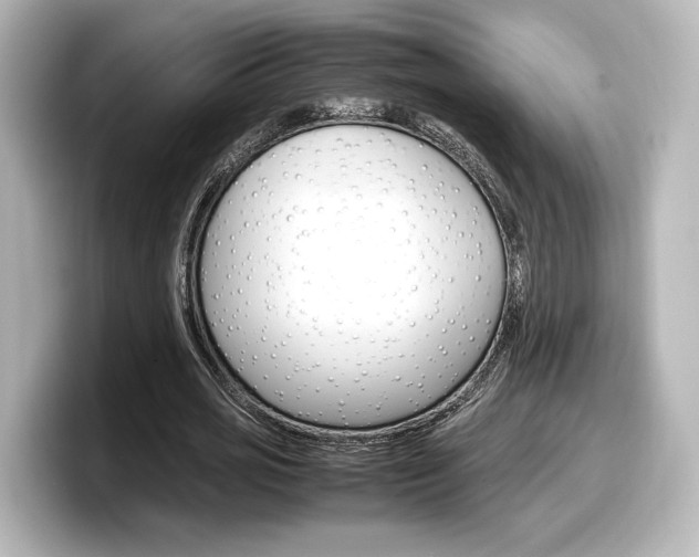X0000098190725200804241050