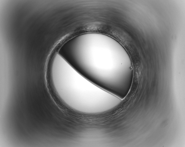 X0000098190728200804241050