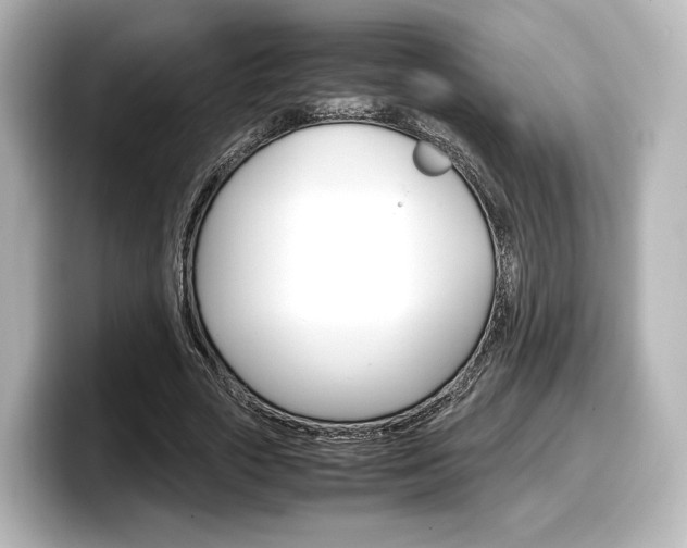 X0000098190729200804241050