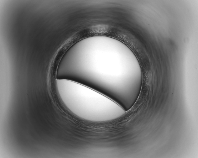 X0000098190731200804241050