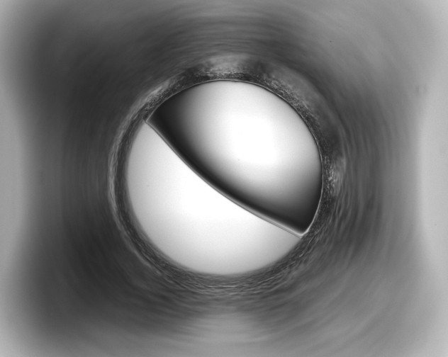 X0000098190732200804241050