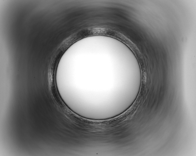 X0000098190733200804241050