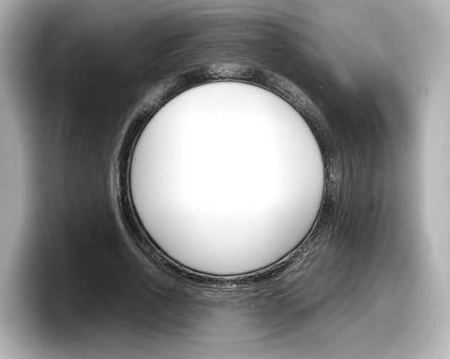 X0000098190734200804241050