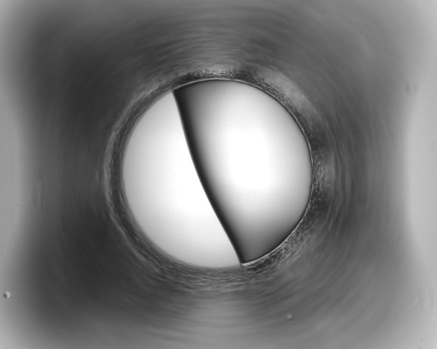 X0000098190736200804241050