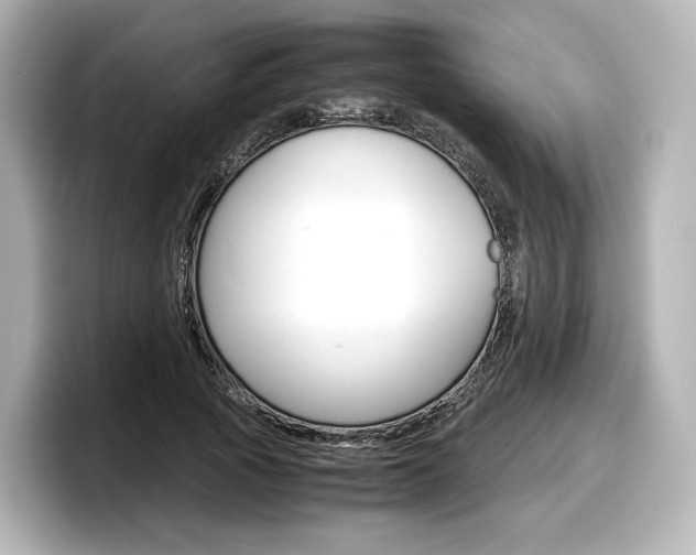 X0000098190737200804241050