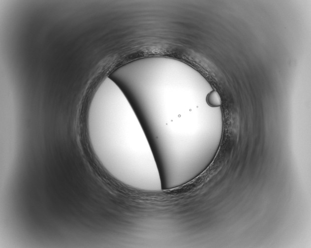 X0000098190738200804241050