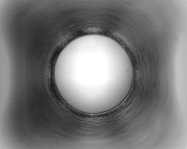 X0000098190739200804241050