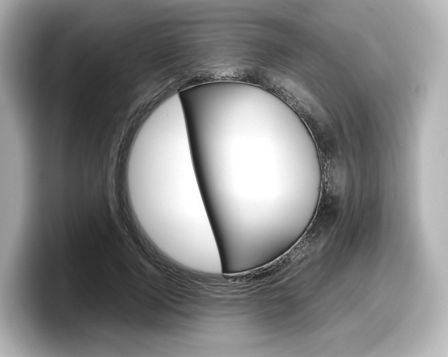 X0000098190740200804241050