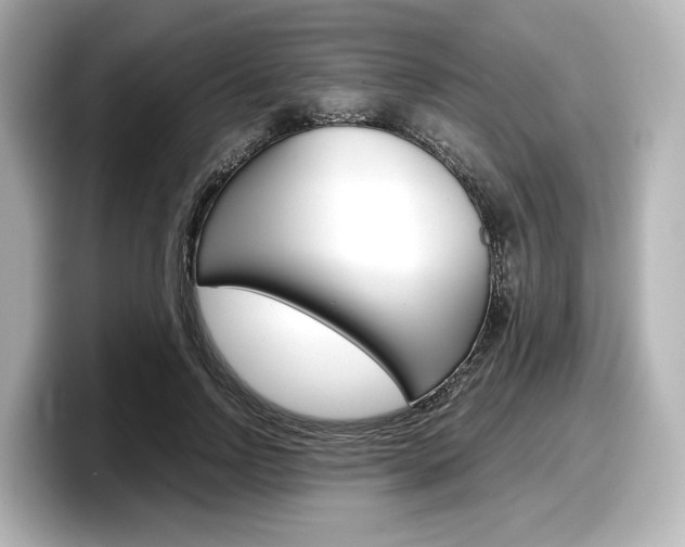X0000098190742200804241050