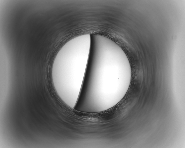 X0000098190743200804241050