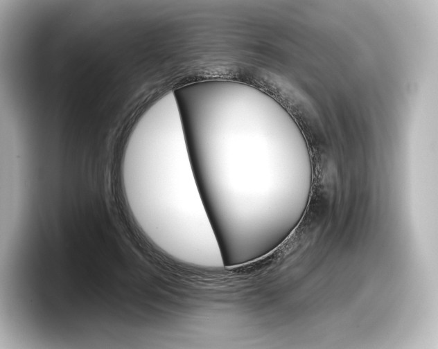 X0000098190744200804241050