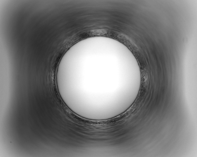 X0000098190745200804241050