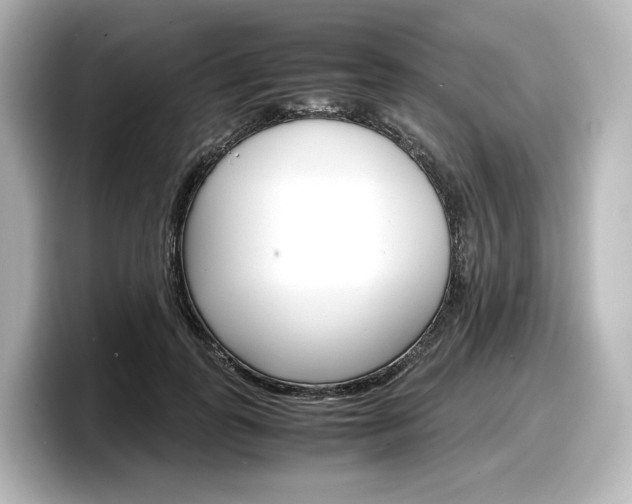 X0000098190747200804241050
