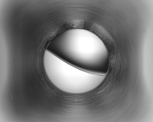X0000098190748200804241050