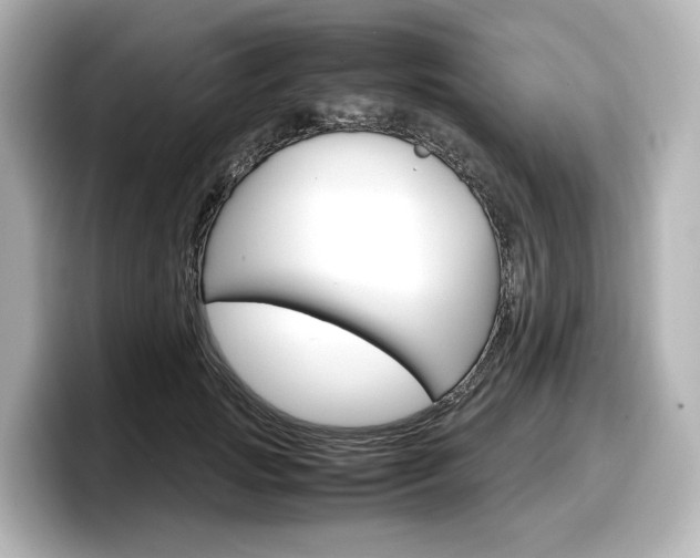 X0000098190749200804241051