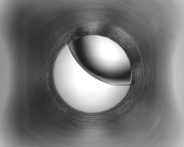 X0000098190750200804241051