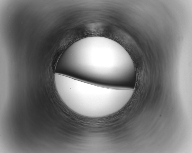 X0000098190752200804241051