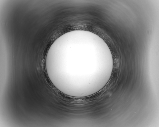 X0000098190753200804241051