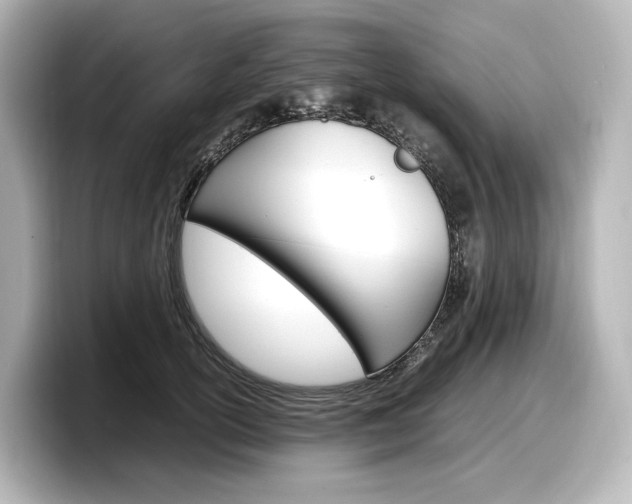 X0000098190754200804241051
