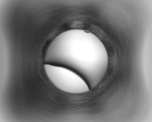 X0000098190755200804241051