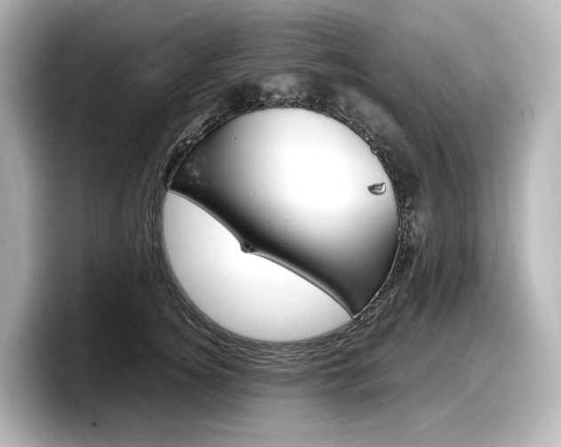 X0000098190756200804241051