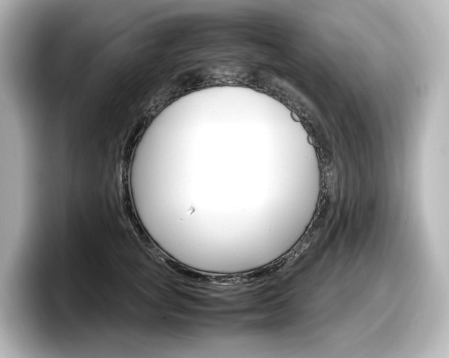 X0000098190757200804241051