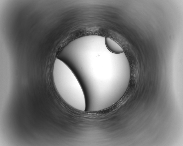 X0000098190758200804241051