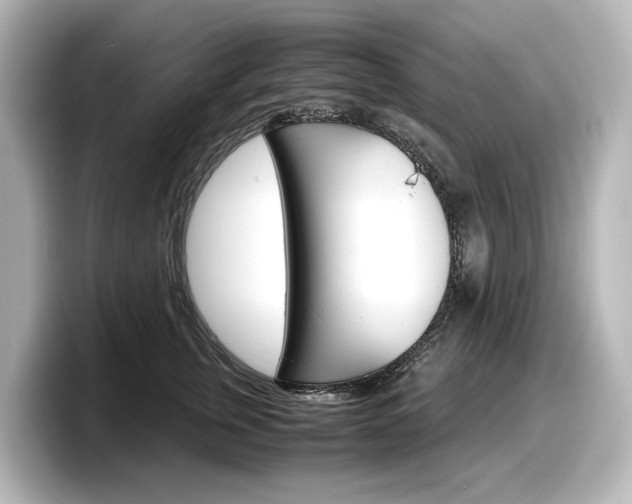 X0000098190759200804241051