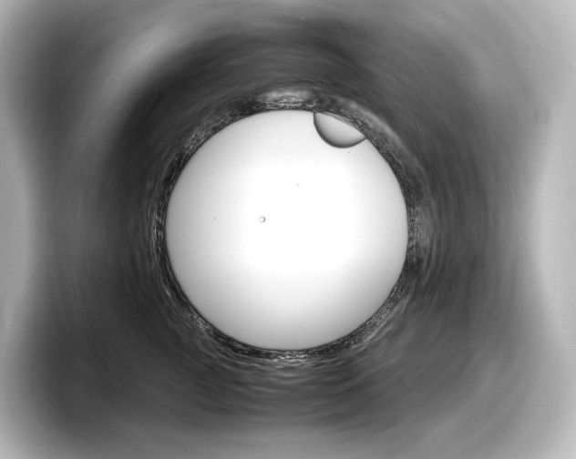 X0000098190761200804241051