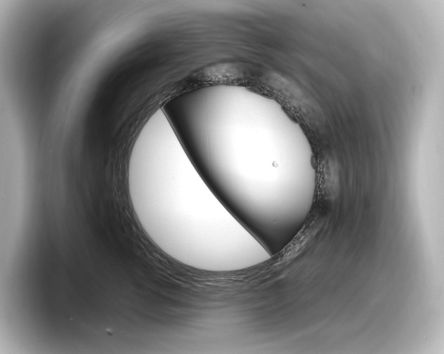X0000098190762200804241051