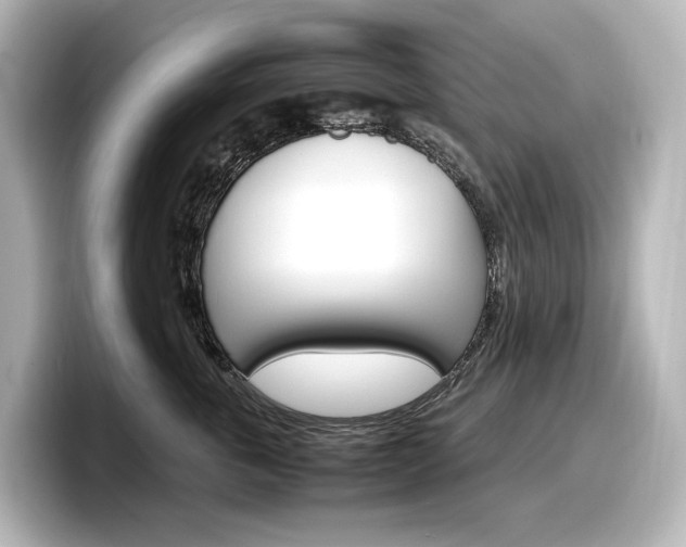 X0000098190763200804241051